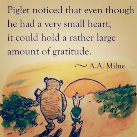 🔱 Women's Wool Wide Brim Fedora Hat PUTTY  EUC - Picture 7 of 16